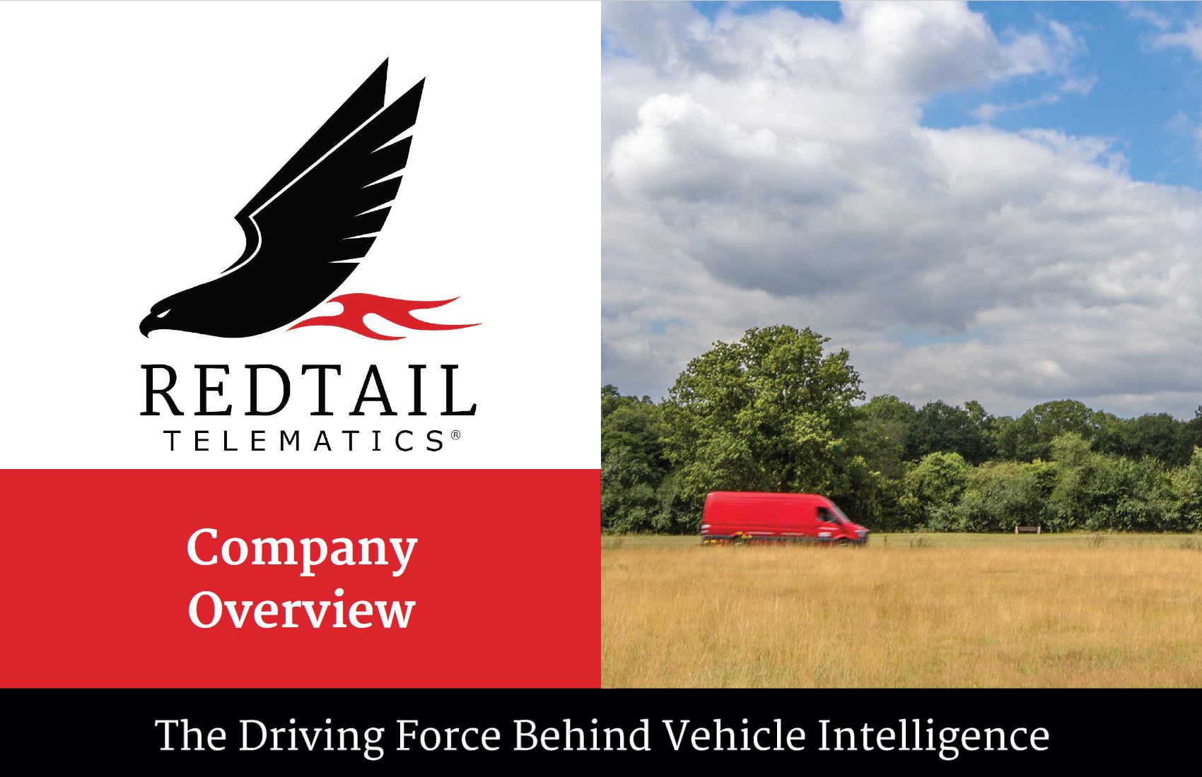 Redtail Overview